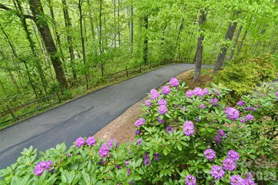 55 Sugar Hill Drive, Weaverville, NC 28787 - Photo 39