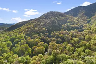 6 Gold Finch Ln, Maggie Valley, NC 28751 - Photo 37