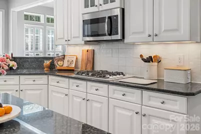 1020 Butterburr Drive, Matthews, NC 28104 - Photo 17