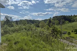 176 Laurel Branch Cemetery Rd, Weaverville, NC 28753 - Photo 23