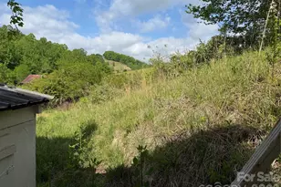 176 Laurel Branch Cemetery Rd, Weaverville, NC 28753 - Photo 17
