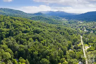 30 Lawterdale Cir, Asheville, NC 28804 - Photo 37