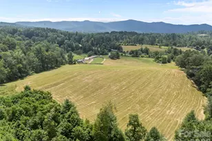 1305 Halltown Rd, Spruce Pine, NC 28777 - Photo 11