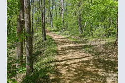 Tbd Holly Dale Drive, Spruce Pine, NC 28777 - Photo 5