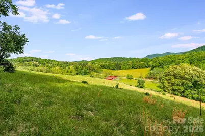 435 Upper Glady Fork Road, Candler, NC 28714 - Photo 33