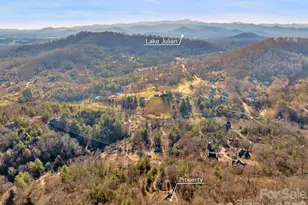 36 Wineberry Ln, Asheville, NC 28803 - Photo 47