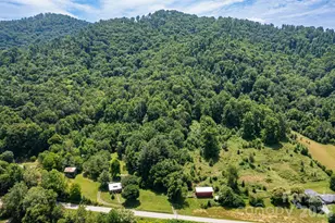 329 N Fork Rd, Barnardsville, NC 28709 - Photo 31