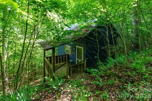 329 N Fork Rd, Barnardsville, NC 28709 - Photo 19