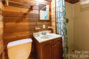 329 N Fork Rd, Barnardsville, NC 28709 - Photo 21