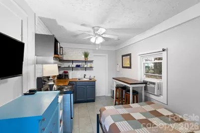 33 Vance Avenue, Black Mountain, NC 28711 - Photo 43