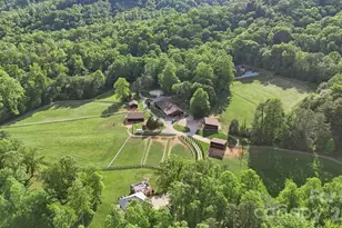 959 & 957 Dave Whitaker Rd, Horse Shoe, NC 28742 - Photo 3