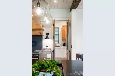 25 Rantis Lane, Black Mountain, NC 28711 - Photo 19