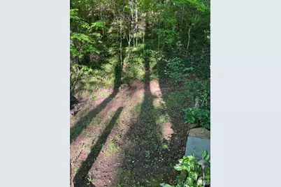 50 E Wabash Drive, Sylva, NC 28779 - Photo 31