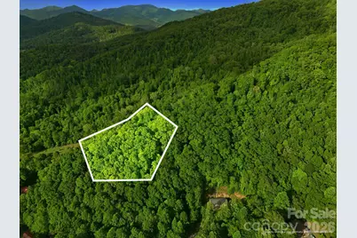 108 Wakulla Way, Waynesville, NC 28785 - Photo 1