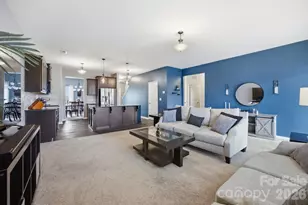 315 Prosperous Path, Locust, NC 28097 - Photo 9