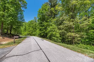 305 & 349 Freedom Trail Ct, Zirconia, NC 28790 - Photo 33