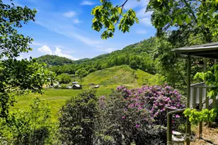 2131 Coleman Mountain Rd, Waynesville, NC 28785 - Photo 5