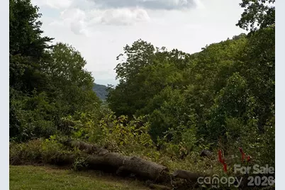 165 Peepeye Cove Road, Leicester, NC 28748 - Photo 5