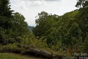 165 Peepeye Cove Rd, Leicester, NC 28748 - Photo 5