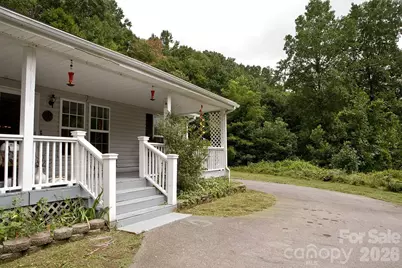 165 Peepeye Cove Road, Leicester, NC 28748 - Photo 3