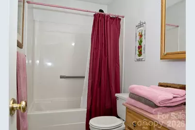 165 Peepeye Cove Road, Leicester, NC 28748 - Photo 19
