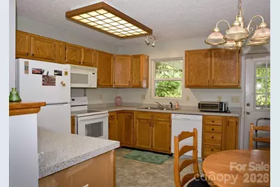 165 Peepeye Cove Road, Leicester, NC 28748 - Photo 11