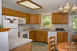 165 Peepeye Cove Rd, Leicester, NC 28748 - Photo 11