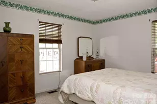 165 Peepeye Cove Rd, Leicester, NC 28748 - Photo 21