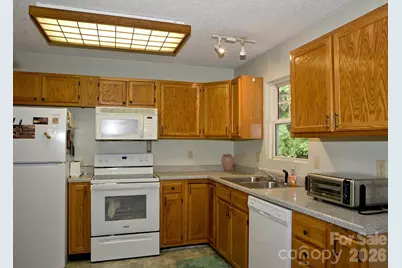 165 Peepeye Cove Road, Leicester, NC 28748 - Photo 13