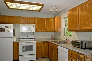 165 Peepeye Cove Rd, Leicester, NC 28748 - Photo 13