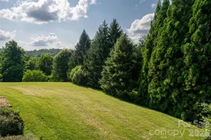 33 Bridle Path Dr, Barnardsville, NC 28709 - Photo 43
