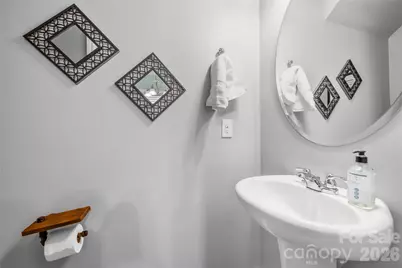 1530 Starmount Cove Lane, Charlotte, NC 28210 - Photo 21