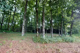 200 Osborn Knob Rd, Marion, NC 28752 - Photo 17