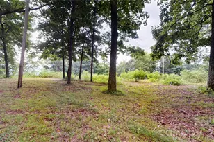 200 Osborn Knob Rd, Marion, NC 28752 - Photo 19