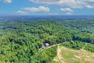 96 Boysenberry Dr, Nebo, NC 28761 - Photo 45