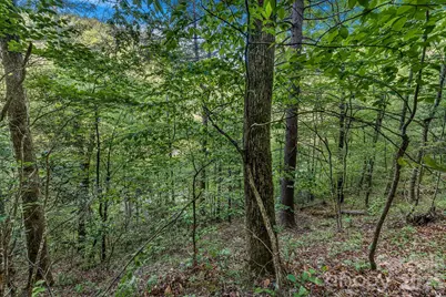 31 Caddis Court, Marshall, NC 28753 - Photo 5