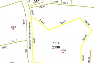 4354 Lower Cedar Valley Rd, Hudson, NC 28638 - Photo 3