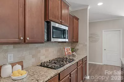 1105 Snowbird Lane, Waxhaw, NC 28173 - Photo 13