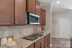 1105 Snowbird Ln, Waxhaw, NC 28173 - Photo 13