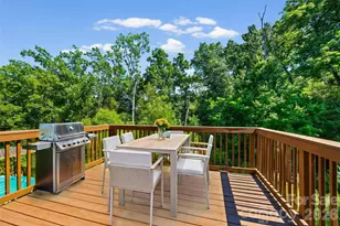 1008 Dorsey Dr, Fort Mill, SC 29715 - Photo 13