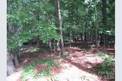 0 S Woodleaf Road, Forest City, NC 28043 - Photo 21