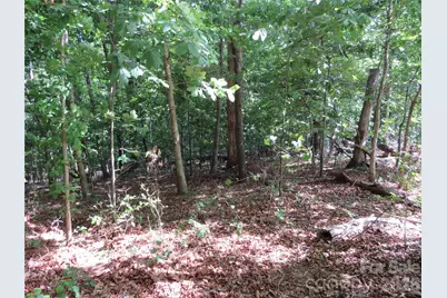 0 S Woodleaf Road, Forest City, NC 28043 - Photo 7