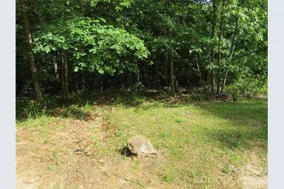 0 S Woodleaf Road, Forest City, NC 28043 - Photo 15