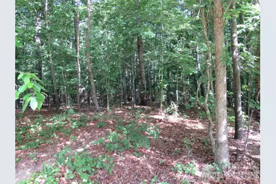 0 S Woodleaf Road, Forest City, NC 28043 - Photo 1