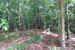 0 S Woodleaf Rd, Forest City, NC 28043 - Photo 1