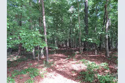 0 S Woodleaf Road, Forest City, NC 28043 - Photo 19