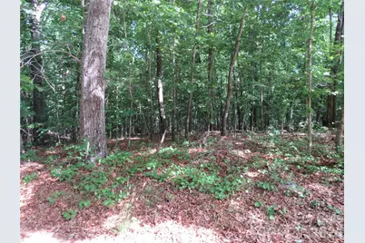 0 S Woodleaf Road, Forest City, NC 28043 - Photo 17