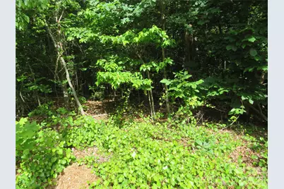 0 S Woodleaf Road, Forest City, NC 28043 - Photo 5