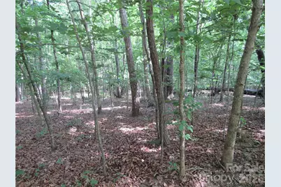 0 S Woodleaf Road, Forest City, NC 28043 - Photo 13