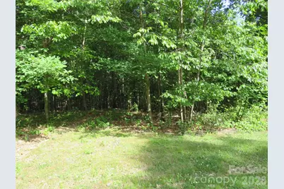0 S Woodleaf Road, Forest City, NC 28043 - Photo 3